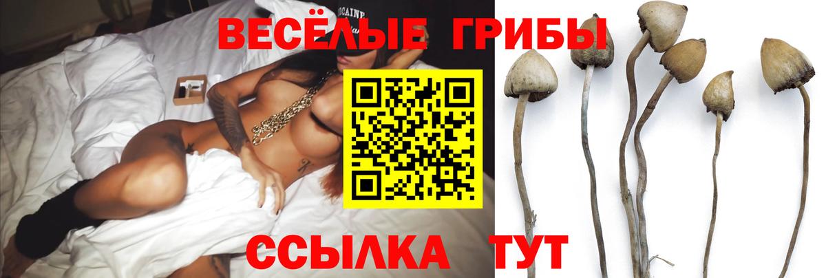 Карталы  Галлюциногенные грибы MAGIC MUSHROOMS  Вход с VPN  наркота  Псилоцибиновые грибы мицелий 